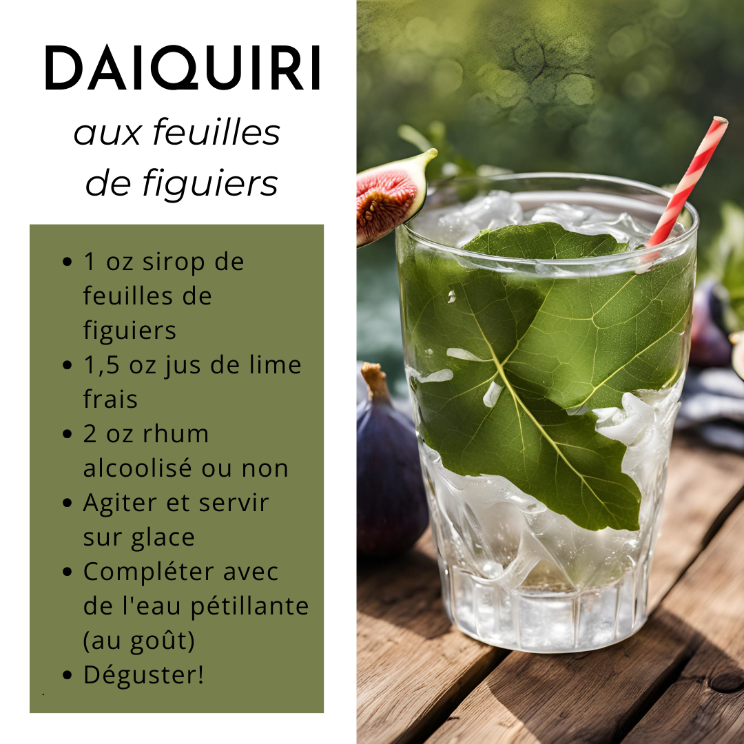 Recette daiquiri feuilles de figuiers